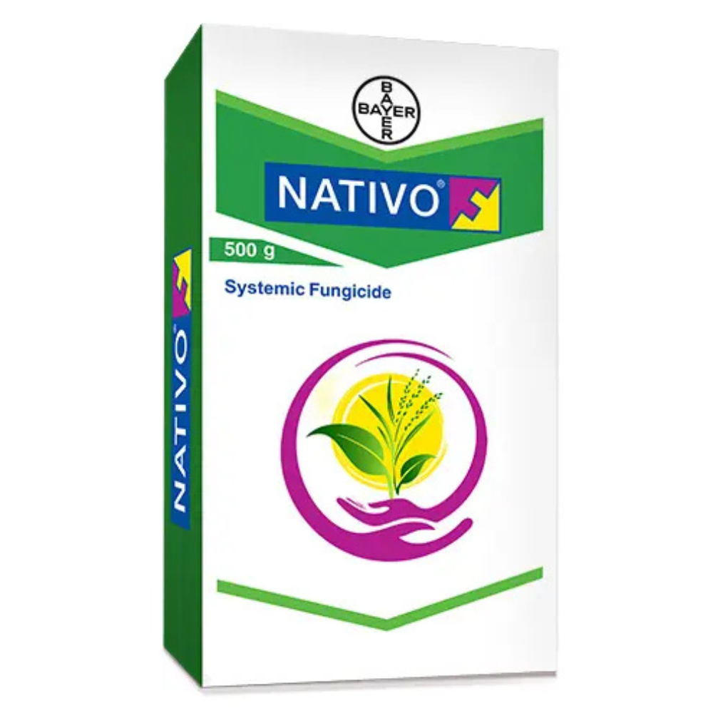 Nativo (Tebuconazole 50% + Trifloxystrobin 25% WG)