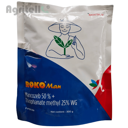 Roko Man Biostadt