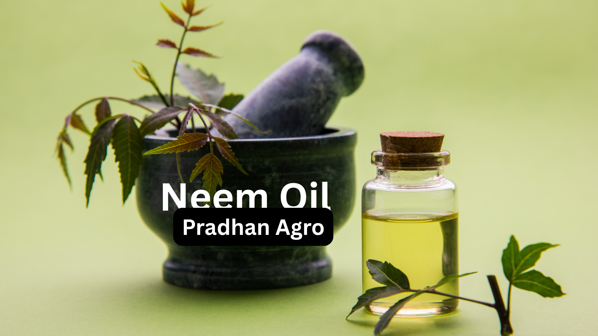 Neem Oil: The Organic Solution for Modern Farming! Pradhan Agro