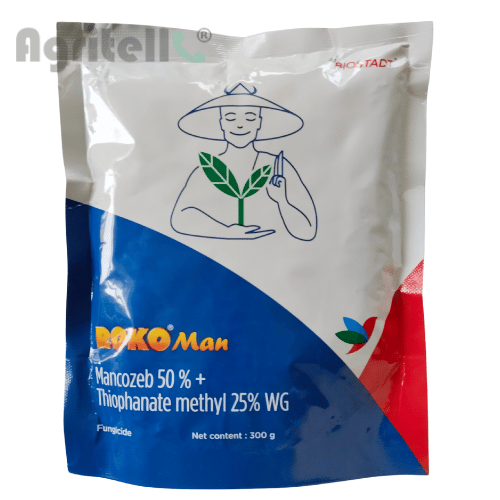 Roko Man Biostadt