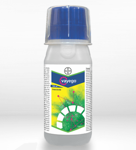 Vayego Bayer