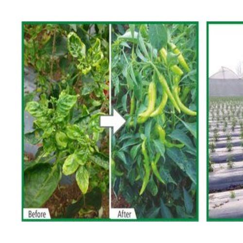 Buy Barrix Control Online - Agritell.com