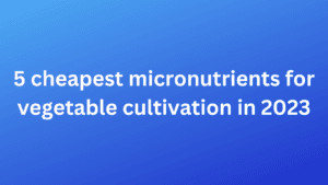 5 cheapest micronutrients for vegetable cultivation in 2022