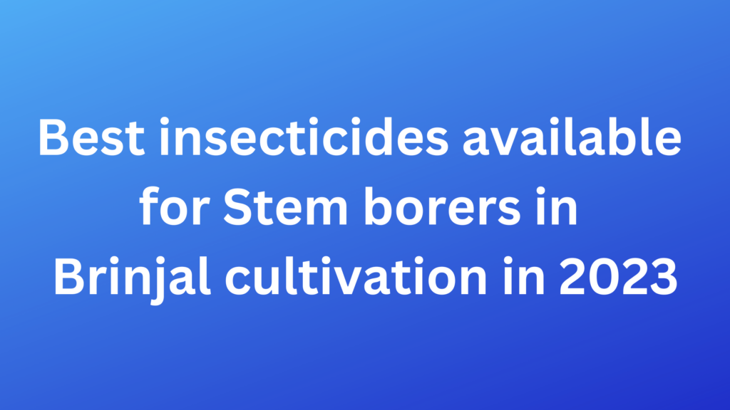 Best-insecticides-available-for-Stem-borers-in-Brinjal-cultivation-in-2023 Pradhan Agro