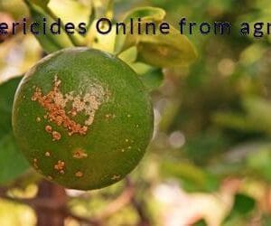 Bactericides