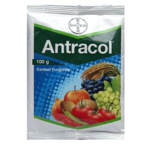 Antracol Fungicide