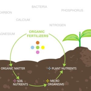 Organic Products