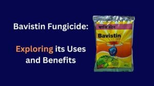 Bavistin Fungicide: Exploring its Uses and Benefits
