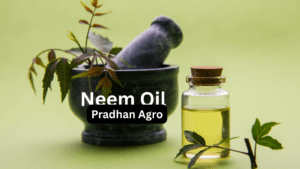 Neem Oil: The Organic Solution for Modern Farming!