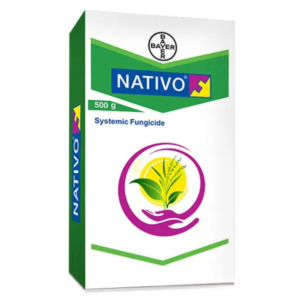 Nativo (Tebuconazole 50% + Trifloxystrobin 25% WG) - Pradhan Agro